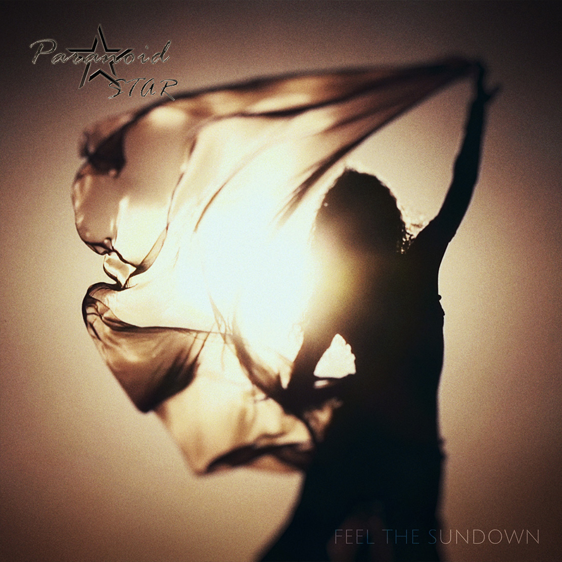 Paranoid Star - The Bird and The Ghost